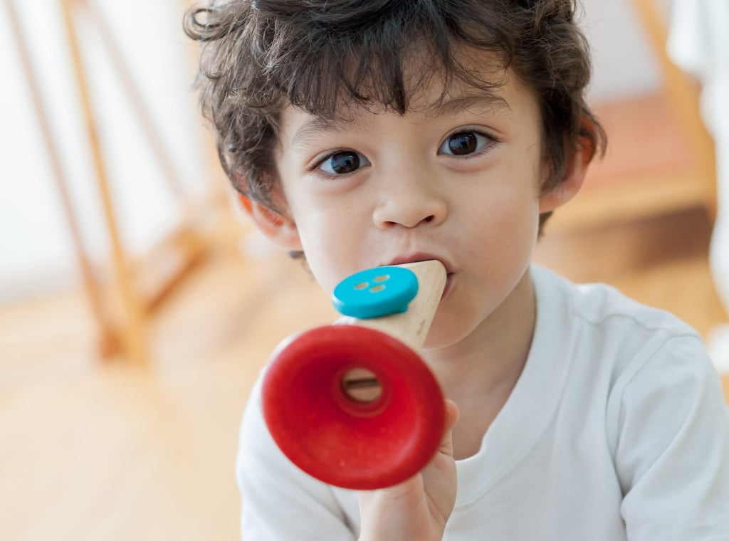 Plan toys kazoo online